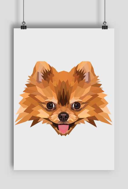 Szpic miniaturowy pomeranian plakat a2 z Twoim Zwierzakiem