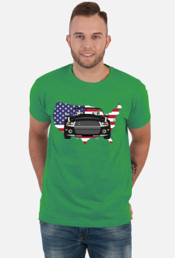Shelby_v1
