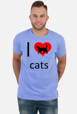I love cats