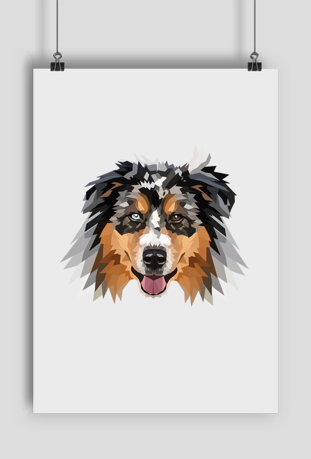 Australian Shepherd Plakat a2 z twoim psem