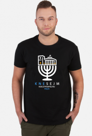 KneSejm Polin