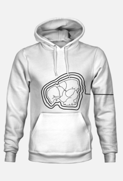 Bluza męska Connected