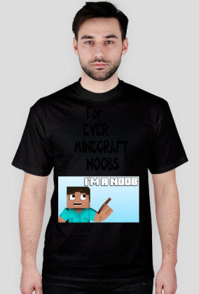 Minecraft Noobs