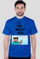 Minecraft Noobs