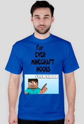 Minecraft Noobs