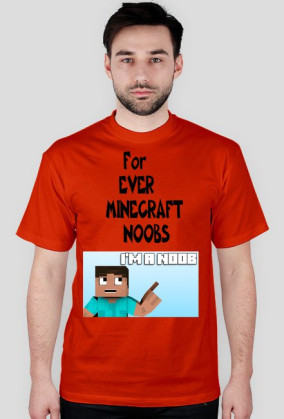 Minecraft Noobs