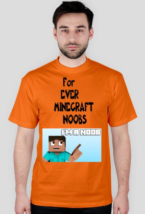 Minecraft Noobs
