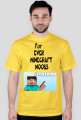 Minecraft Noobs