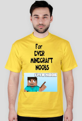 Minecraft Noobs