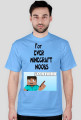 Minecraft Noobs