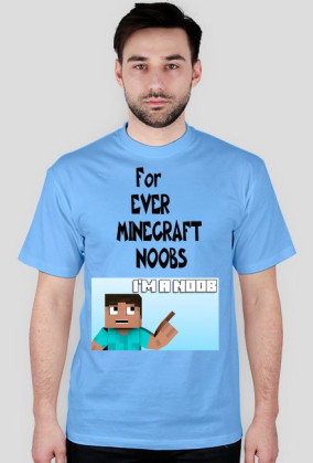 Minecraft Noobs