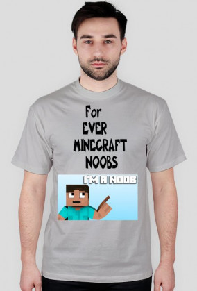 Minecraft Noobs