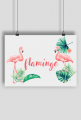 Flamingo