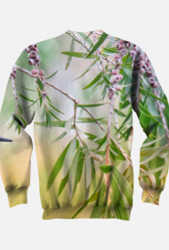 Bluza bez kaptura koliber
