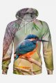 Bluza z kapturem koliber