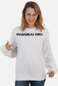 Sweter Właścicielka Yorka