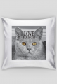 Cat LOVE SLEEP