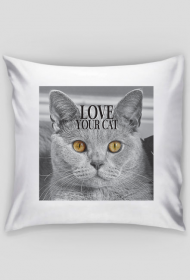 Cat LOVE SLEEP