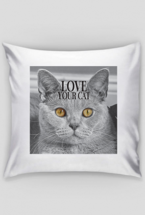 Cat LOVE SLEEP