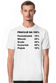 Pracuje na 100%