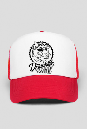 Czapka z daszkiem z logo DŚ