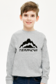 Terracan