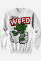Kush