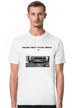Audi80 v4