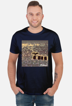Kormoran