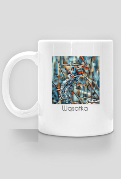 Kubek Wąsatka
