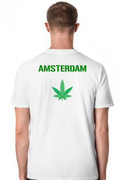 ZIELONY 420