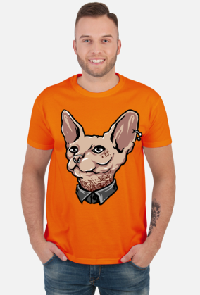 Gangsta Cat