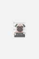 Bad Puggy