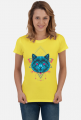 Abstract Cat