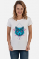 Abstract Cat