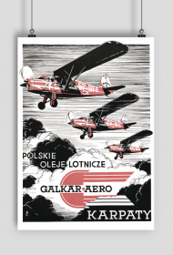 Plakat A1 59x84cm POL - Karpaty vintage