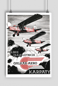 Plakat A2 42x59cm POL - Karpaty vintage