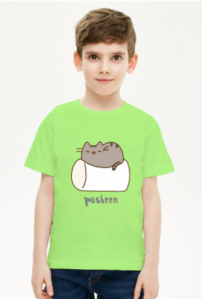 Chłopięcy T-shirt "Pusheen" Wzór 4