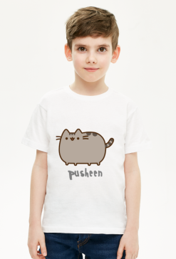 Chłopięcy T-shirt "Pusheen" Wzór 8