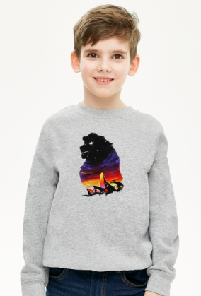 Król lew lwia skała Boy