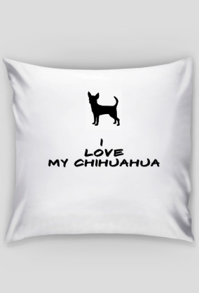 Poduszka chihuahua
