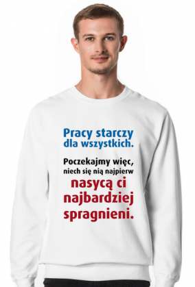 Bluza męska - Pracy starczy dla wszystkich