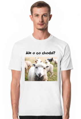 O co chodzi
