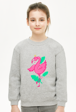 Bluza - Flamingo