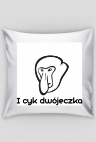 kiedyś to było - poduszka