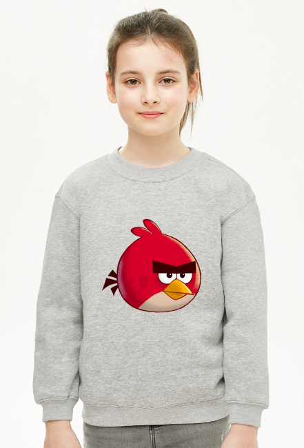 Angry Birds #1