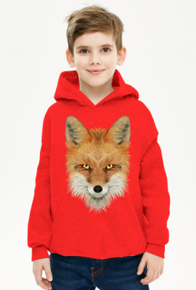 Bluza dziecięca LIS z kapturem