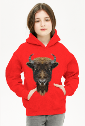 Bluza dziecięca 2 ŻUBR z kapturem