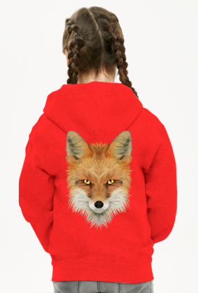 Bluza dziecięca 2 LIS (zamek)