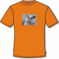 koszulka męska z kotem, pomarańczowa!